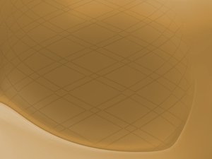 批发渠道的投资回报率分析